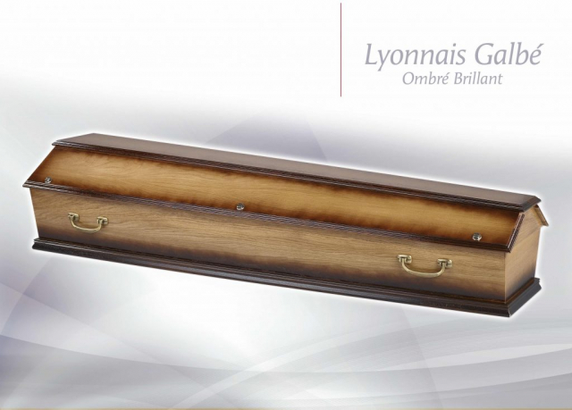 lyonnais droit